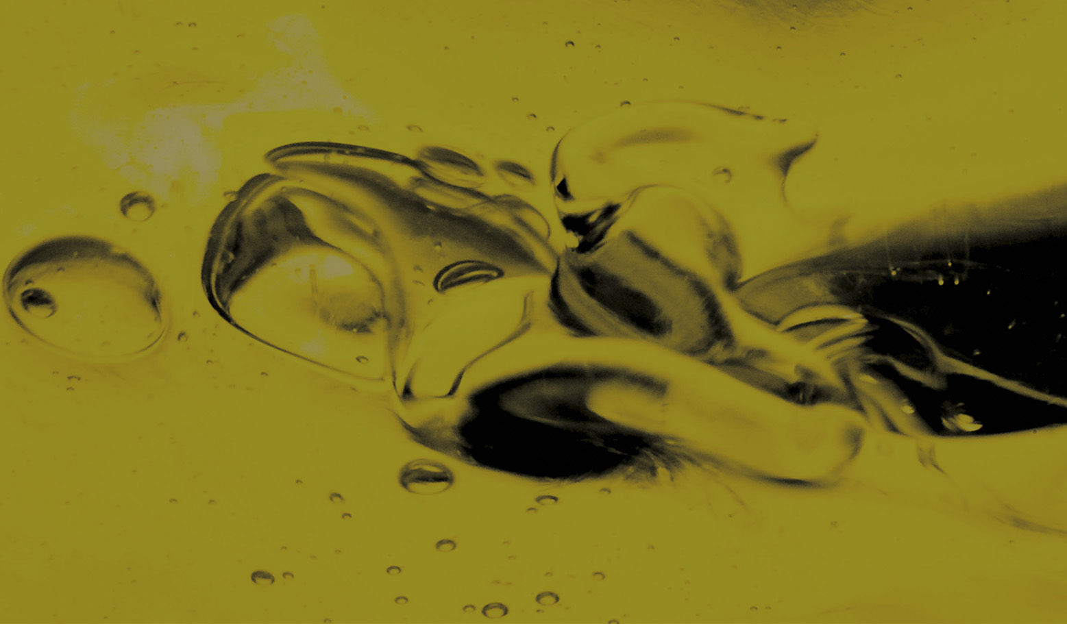 fondo aceites y vinagres