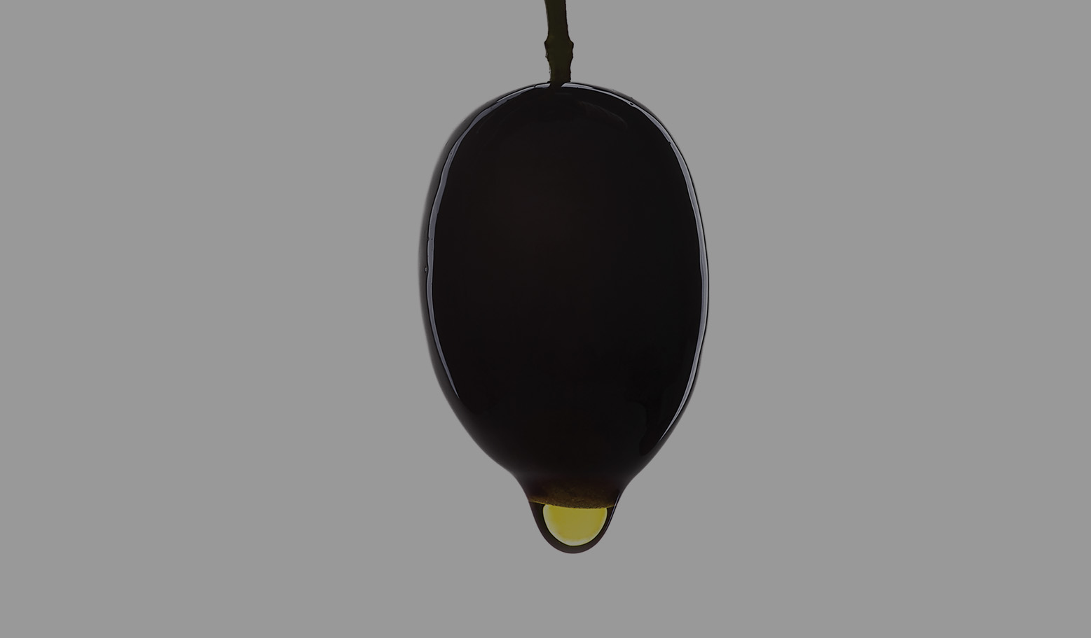 Conservas y encurtidos