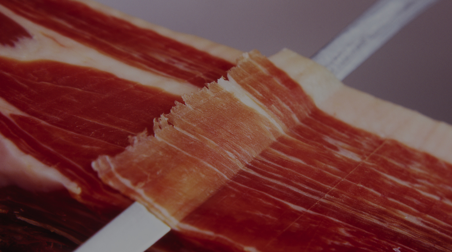 jamon y embutidos slider